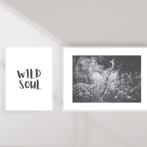 wild soul - תמונות לחדרי נוער